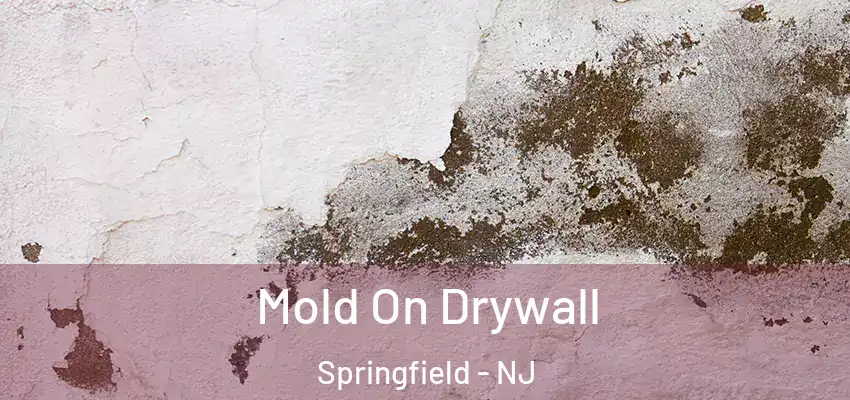 Mold On Drywall Springfield - NJ