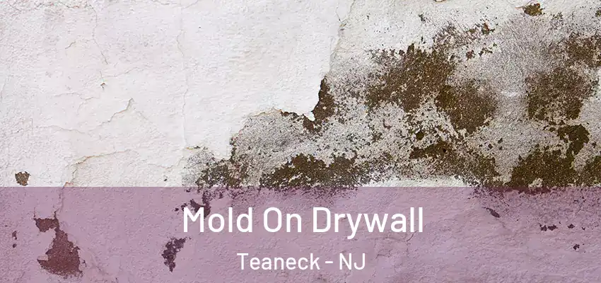  Mold On Drywall Teaneck - NJ
