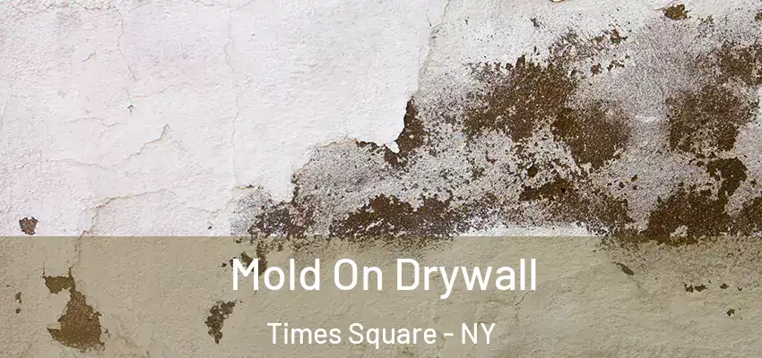Mold On Drywall Times Square - NY