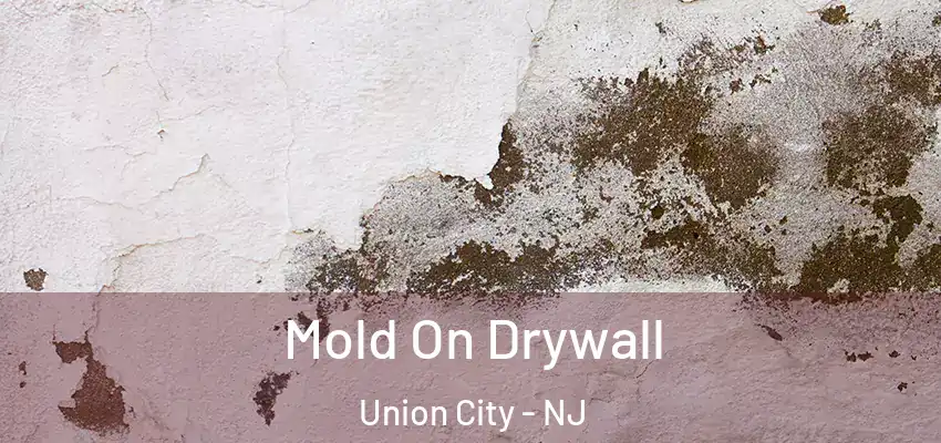 Mold On Drywall Union City - NJ