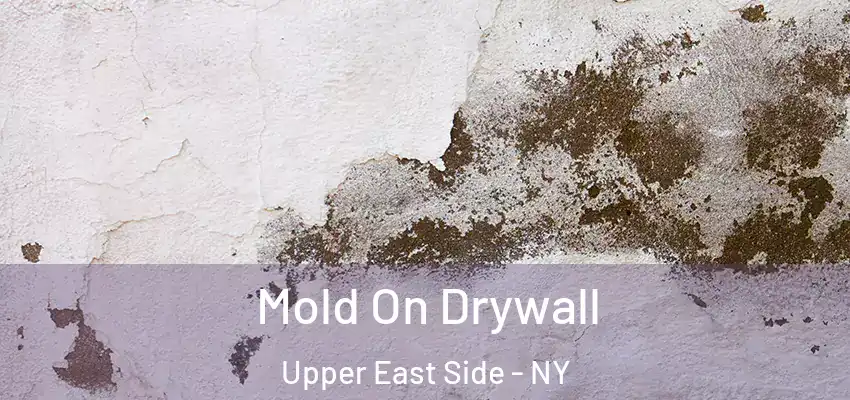 Mold On Drywall Upper East Side - NY