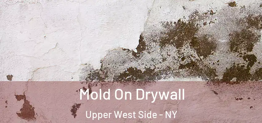 Mold On Drywall Upper West Side - NY