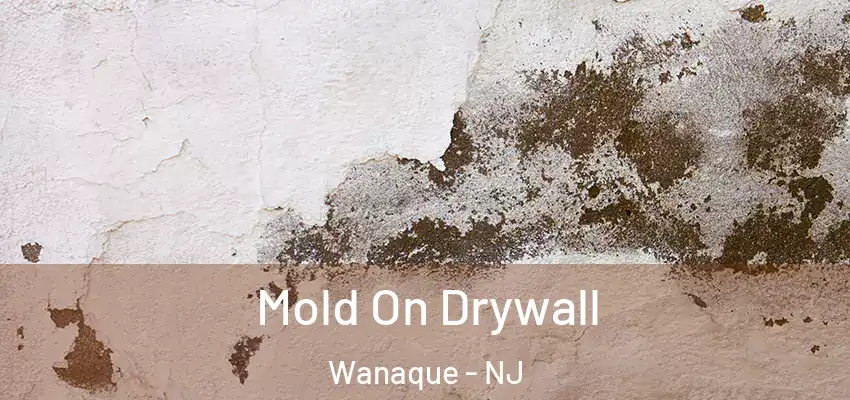  Mold On Drywall Wanaque - NJ