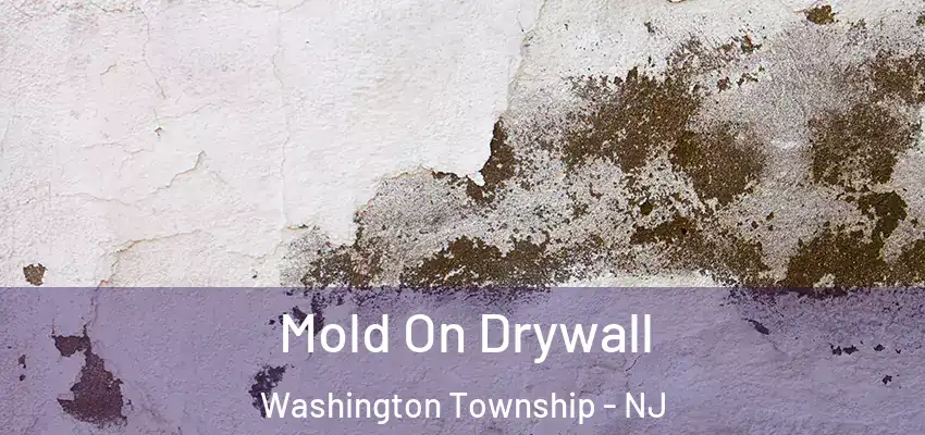  Mold On Drywall Washington Township - NJ
