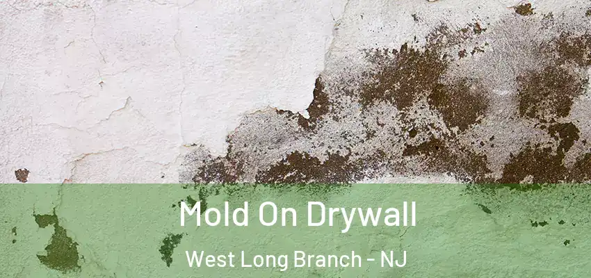 Mold On Drywall West Long Branch - NJ