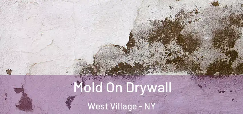  Mold On Drywall West Village - NY