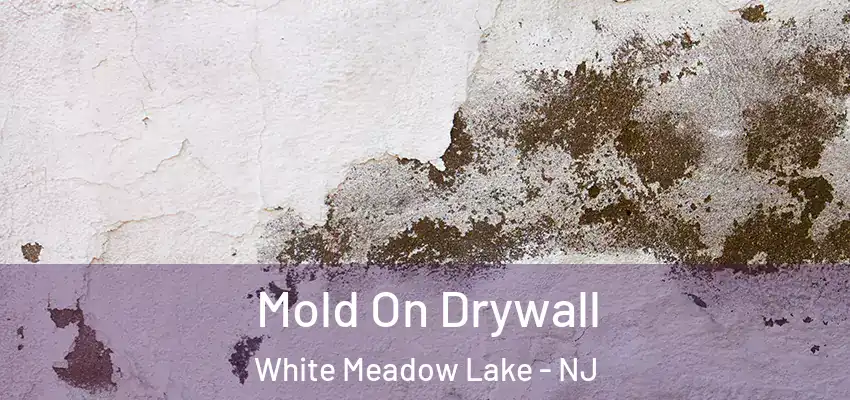 Mold On Drywall White Meadow Lake - NJ