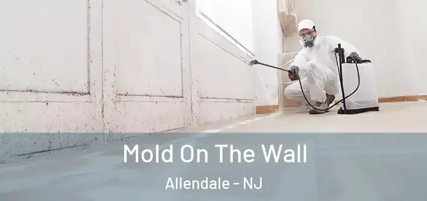  Mold On The Wall Allendale - NJ
