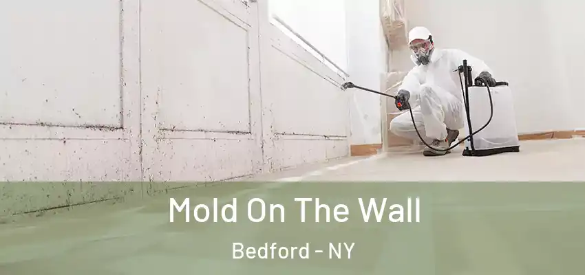 Mold On The Wall Bedford - NY
