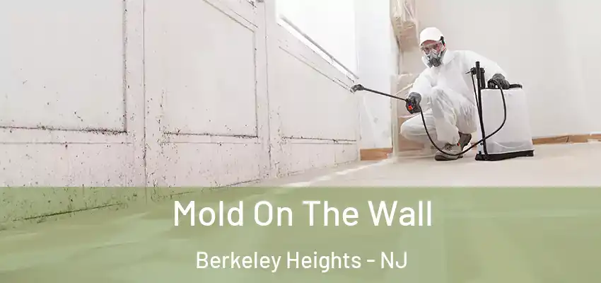 Mold On The Wall Berkeley Heights - NJ