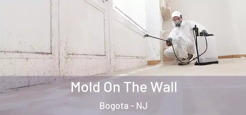 Mold On The Wall Bogota - NJ