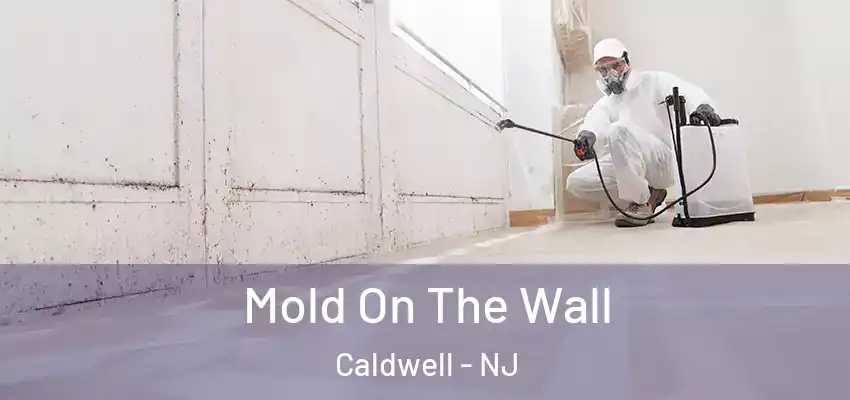 Mold On The Wall Caldwell - NJ