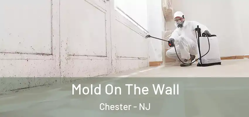 Mold On The Wall Chester - NJ