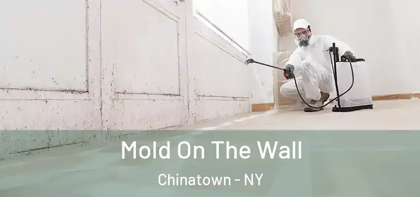 Mold On The Wall Chinatown - NY