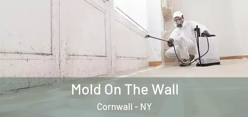  Mold On The Wall Cornwall - NY