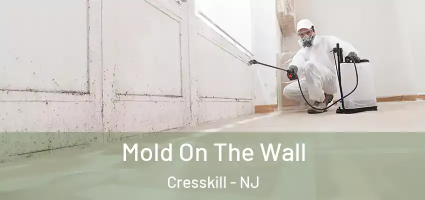  Mold On The Wall Cresskill - NJ