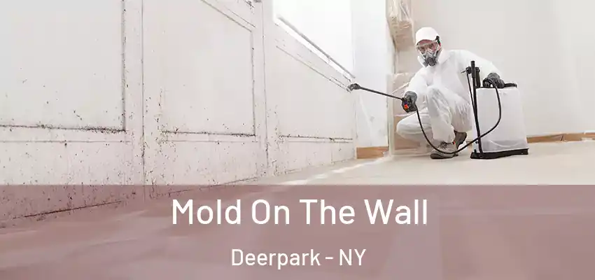  Mold On The Wall Deerpark - NY