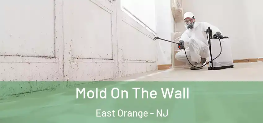  Mold On The Wall East Orange - NJ