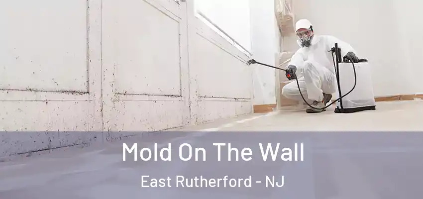  Mold On The Wall East Rutherford - NJ