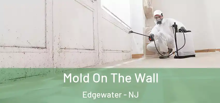  Mold On The Wall Edgewater - NJ