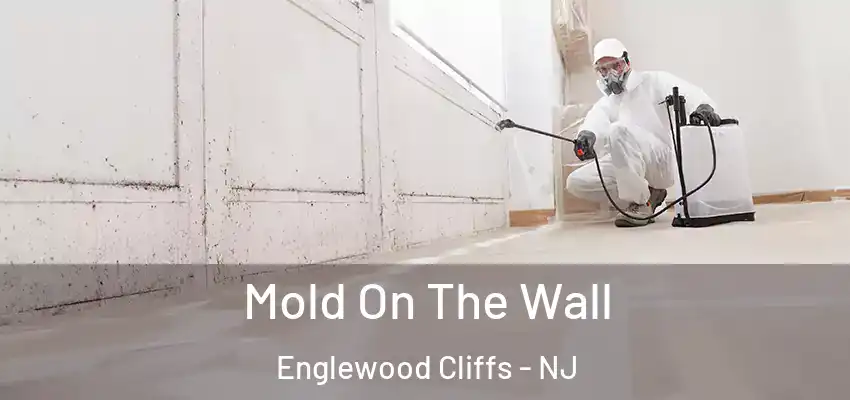 Mold On The Wall Englewood Cliffs - NJ