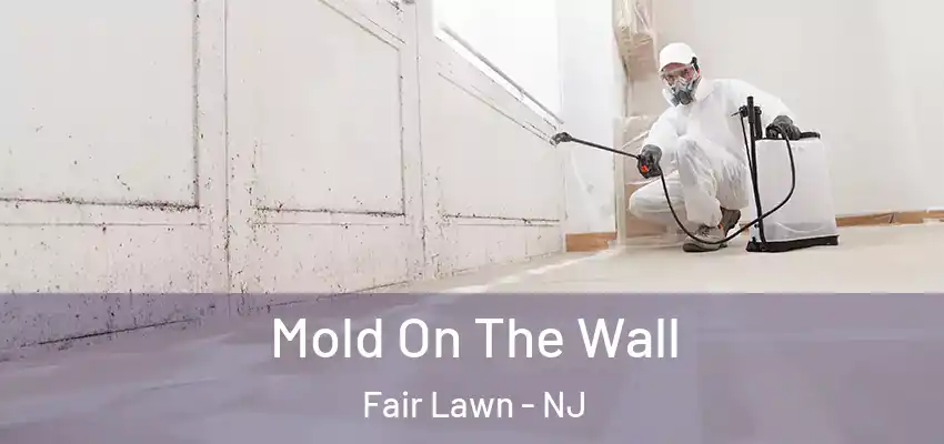 Mold On The Wall Fair Lawn - NJ