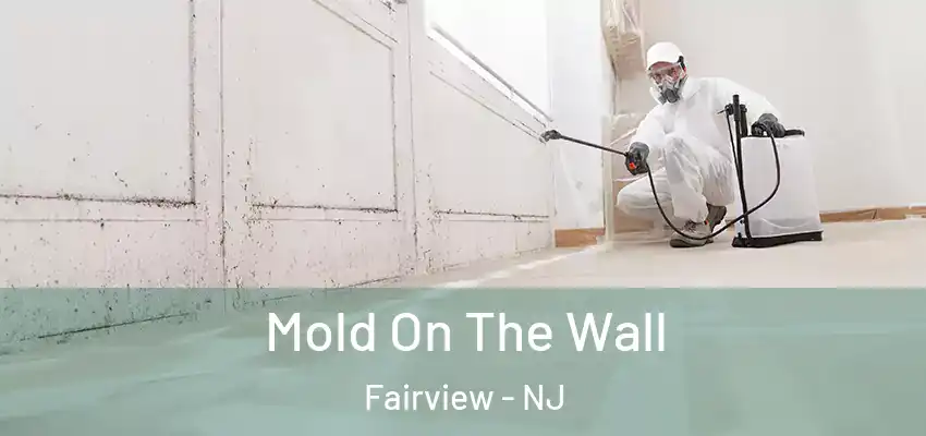  Mold On The Wall Fairview - NJ