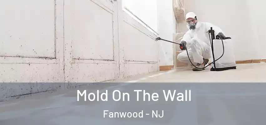 Mold On The Wall Fanwood - NJ
