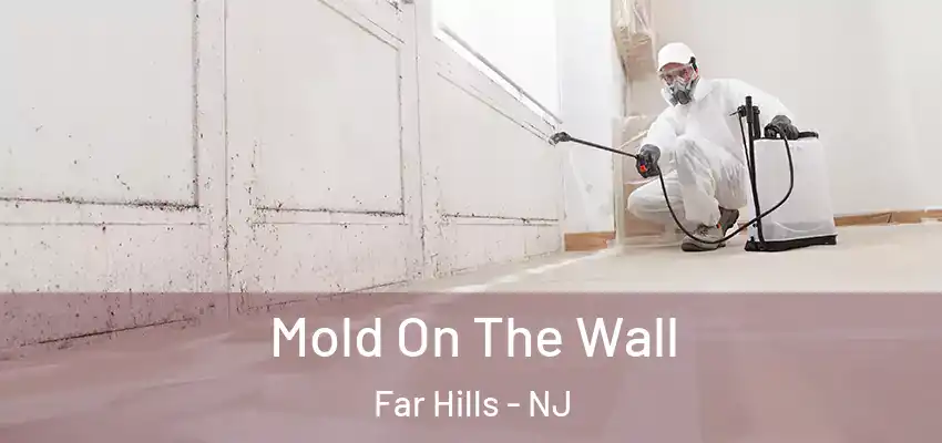  Mold On The Wall Far Hills - NJ