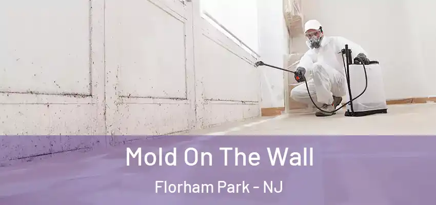Mold On The Wall Florham Park - NJ