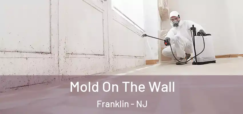 Mold On The Wall Franklin - NJ