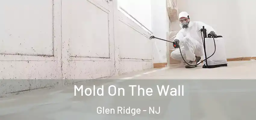 Mold On The Wall Glen Ridge - NJ