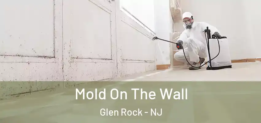 Mold On The Wall Glen Rock - NJ