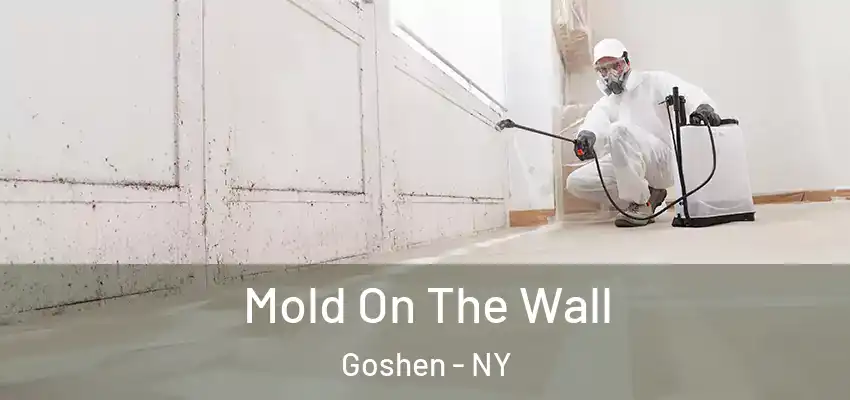 Mold On The Wall Goshen - NY