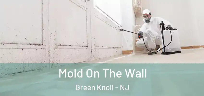 Mold On The Wall Green Knoll - NJ