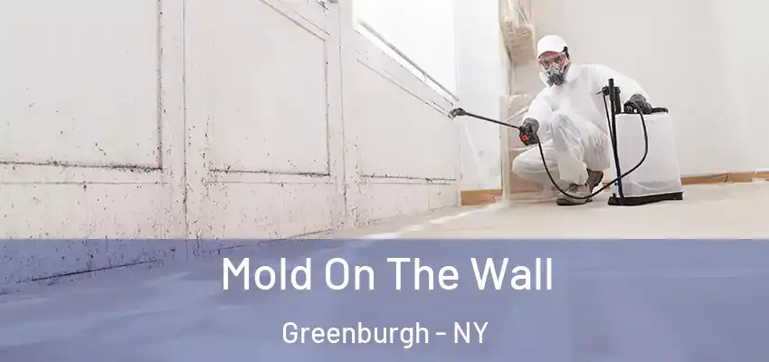  Mold On The Wall Greenburgh - NY