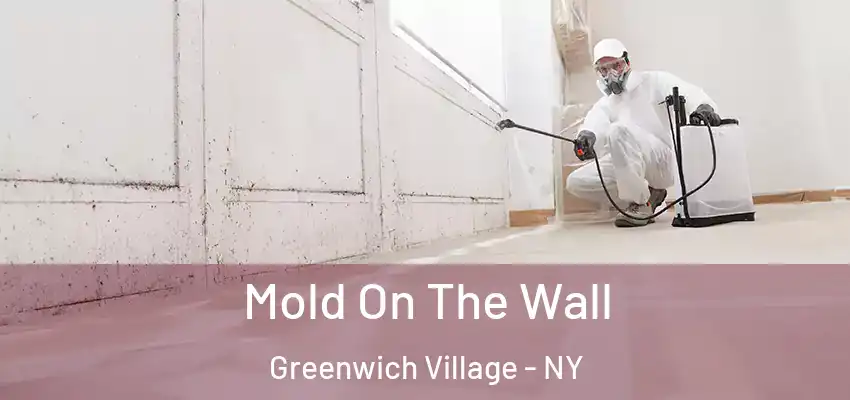 Mold On The Wall Greenwich Village - NY
