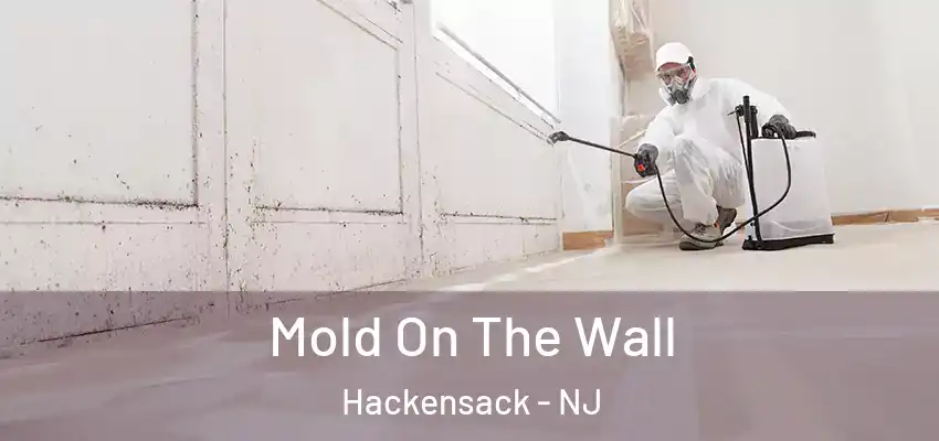 Mold On The Wall Hackensack - NJ