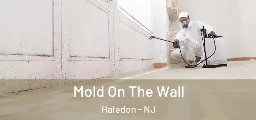 Mold On The Wall Haledon - NJ