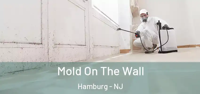 Mold On The Wall Hamburg - NJ