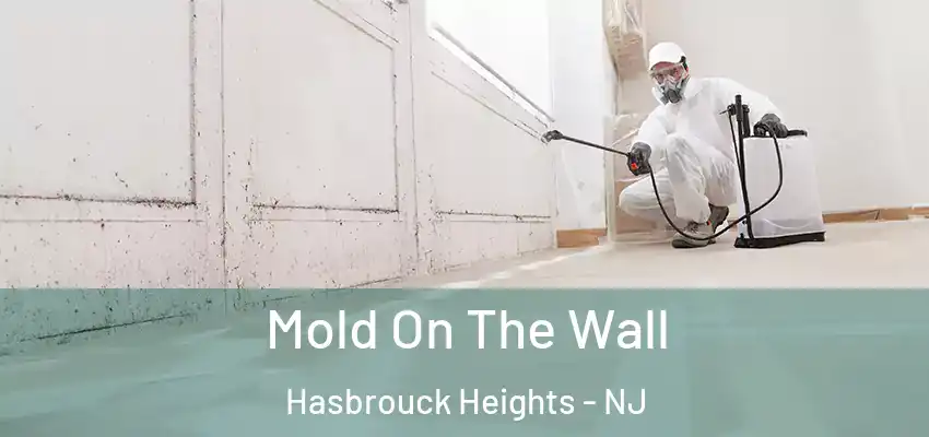  Mold On The Wall Hasbrouck Heights - NJ