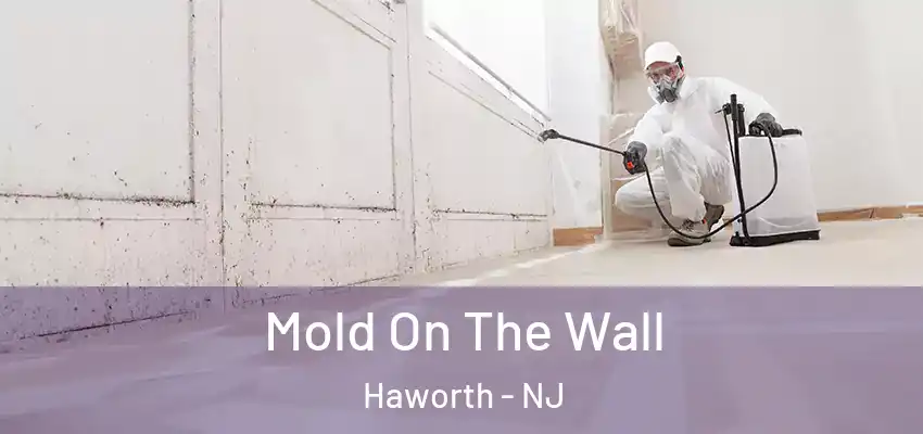 Mold On The Wall Haworth - NJ