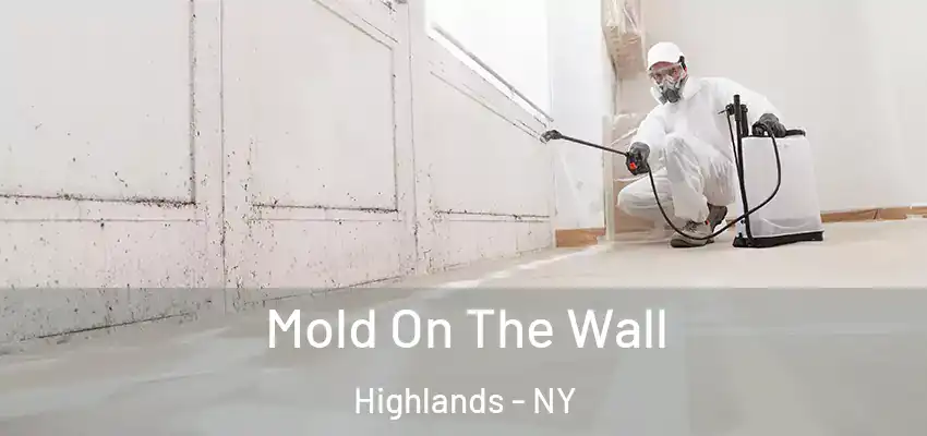  Mold On The Wall Highlands - NY