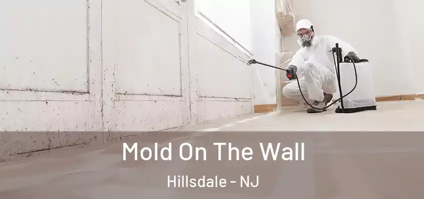 Mold On The Wall Hillsdale - NJ