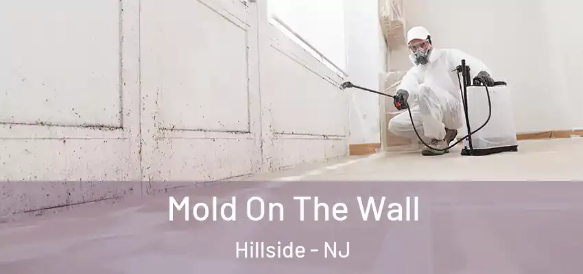 Mold On The Wall Hillside - NJ