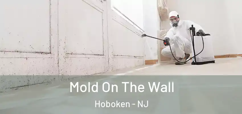  Mold On The Wall Hoboken - NJ