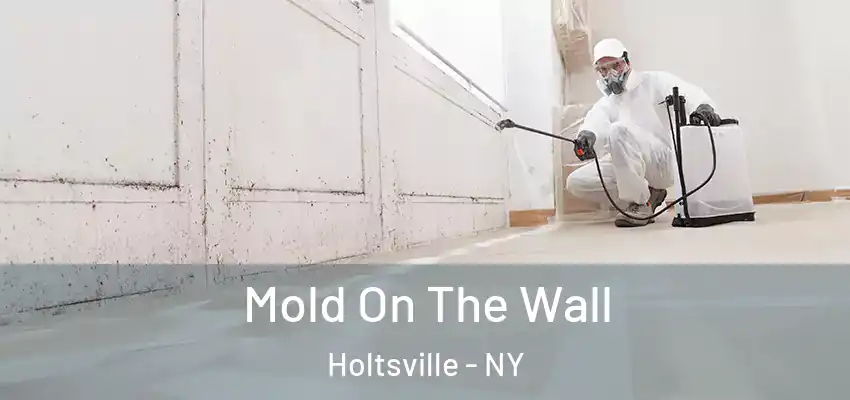 Mold On The Wall Holtsville - NY