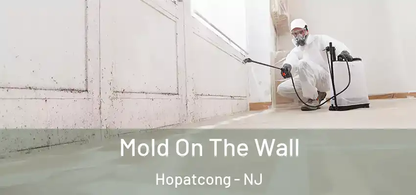  Mold On The Wall Hopatcong - NJ