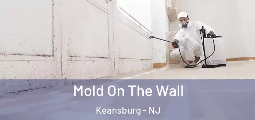 Mold On The Wall Keansburg - NJ