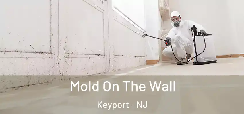  Mold On The Wall Keyport - NJ